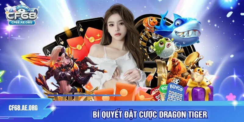 Bí quyết đặt cược dragon tiger